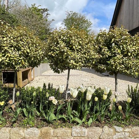 Cedar House Guest House Ilsington Екстериор снимка